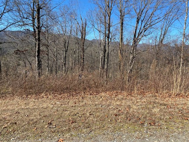 Lot 42 Silo View, Marble, NC 28905