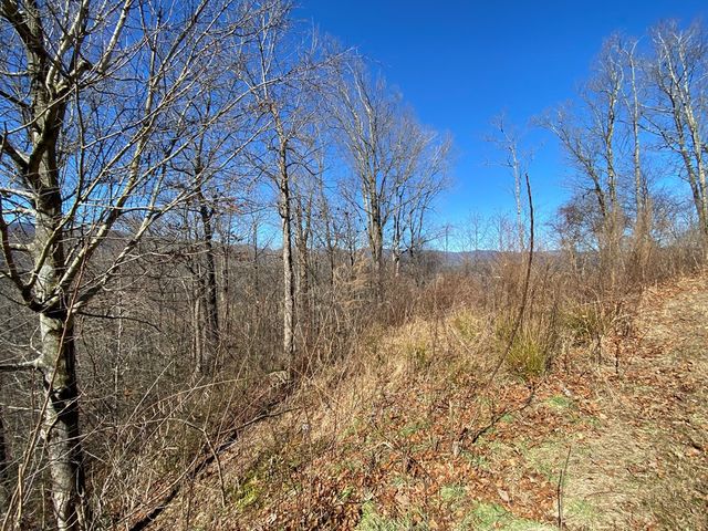 Lot 42 Silo View, Marble, NC 28905