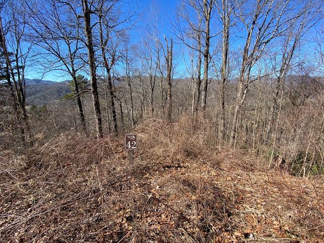 Lot 42 Silo View, Marble, NC 28905