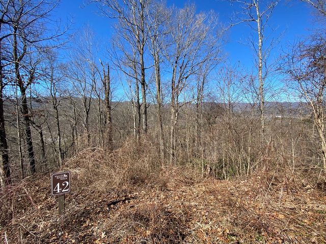 Lot 42 Silo View, Marble, NC 28905