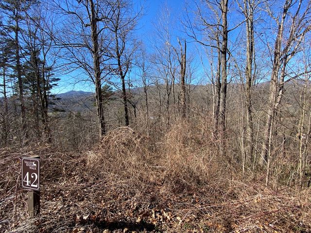 Lot 42 Silo View, Marble, NC 28905