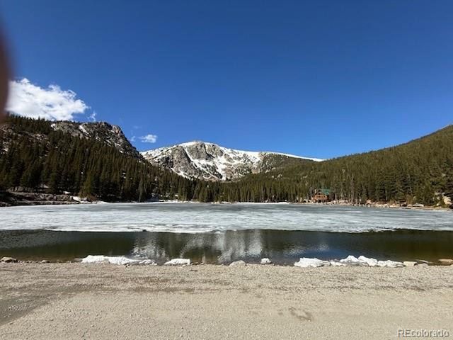 325 Aspen Rd, Idaho Springs, CO 80452