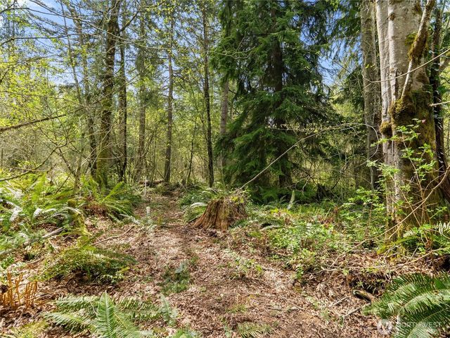 67 XX 258th Avenue NE, Redmond, WA 98053