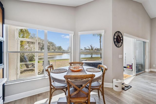 18617 LE DAUPHINE PLACE, Lutz, FL 33558