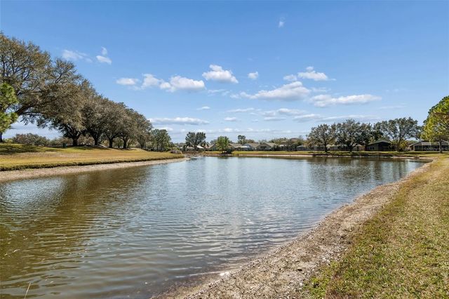 18617 LE DAUPHINE PLACE, Lutz, FL 33558