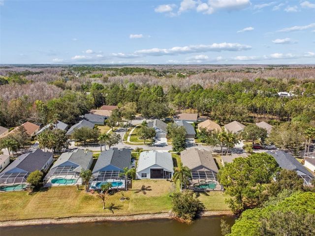 18617 LE DAUPHINE PLACE, Lutz, FL 33558