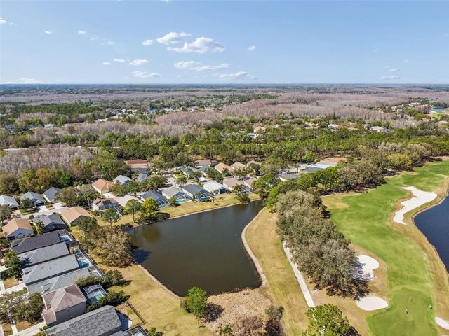 18617 LE DAUPHINE PLACE, Lutz, FL 33558