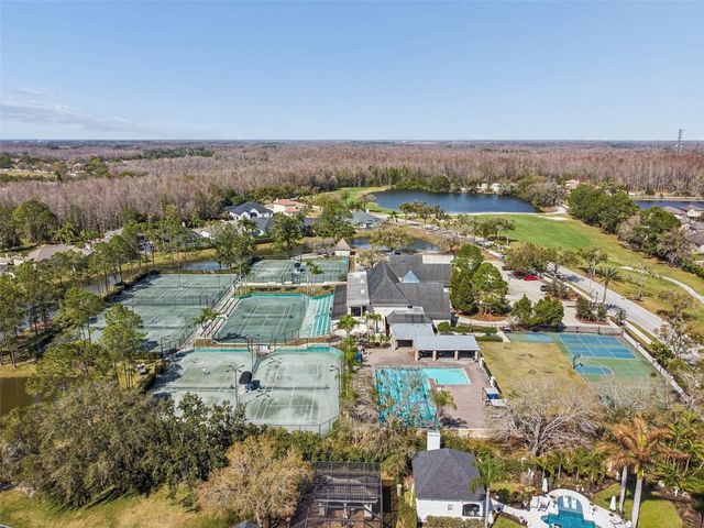 18617 LE DAUPHINE PLACE, Lutz, FL 33558