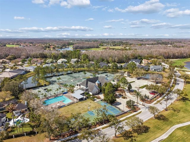 18617 LE DAUPHINE PLACE, Lutz, FL 33558