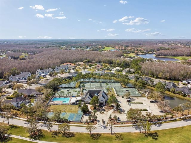 18617 LE DAUPHINE PLACE, Lutz, FL 33558