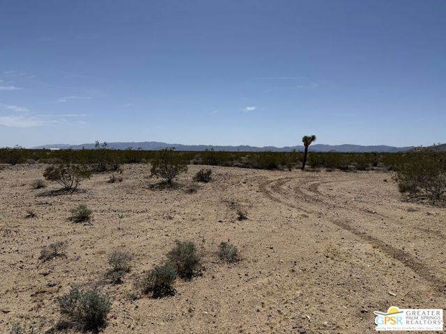 1725 Sunny Vista, Joshua Tree, CA 92252