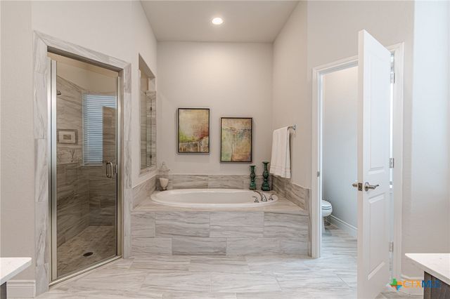 14206 Swift Breeze Drive, San Antonio, TX 78254