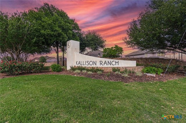 14206 Swift Breeze Drive, San Antonio, TX 78254