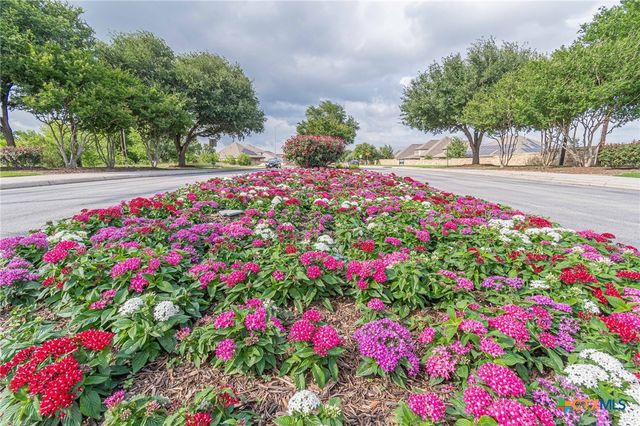 14206 Swift Breeze Drive, San Antonio, TX 78254