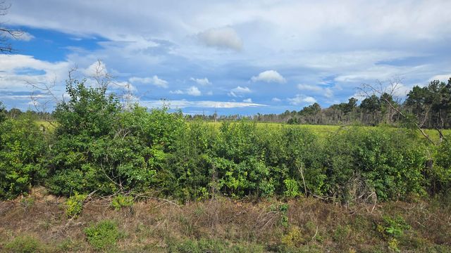 Planer Mill Rd, Deridder, LA 70634