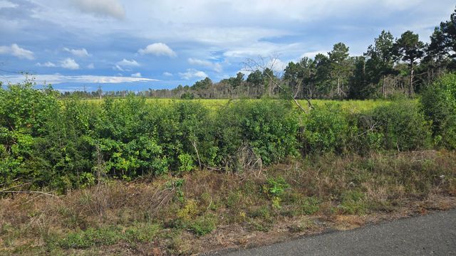 Planer Mill Rd, Deridder, LA 70634