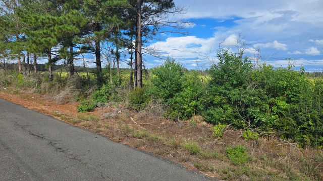 Planer Mill Rd, Deridder, LA 70634