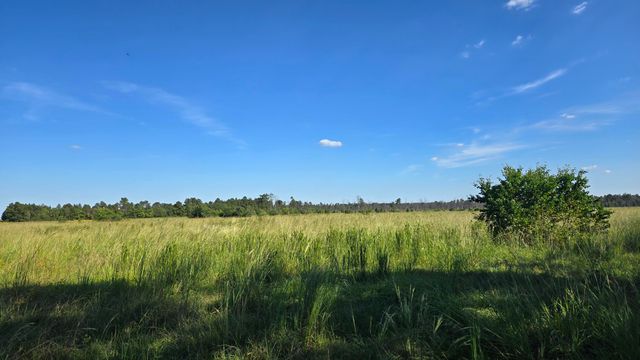 Planer Mill Rd, Deridder, LA 70634
