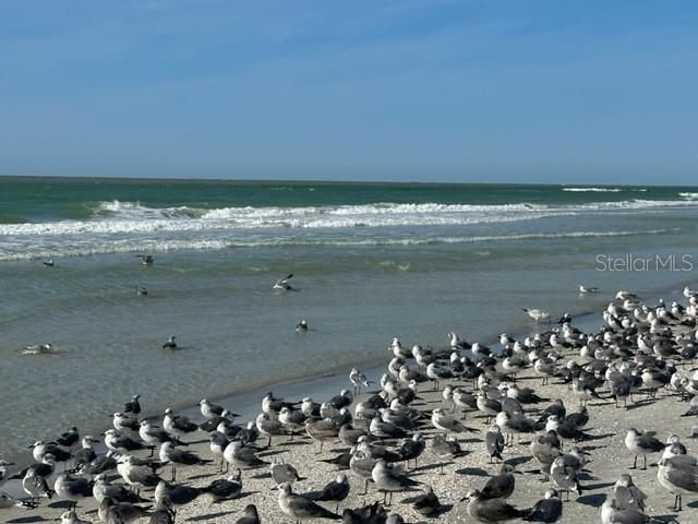 10 158TH AVENUE, Redington Beach, FL 33708