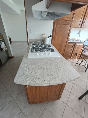 1367 S Elizabeth Street, Lombard, IL 60148