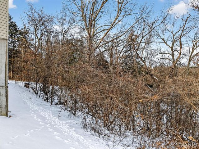 613 Meadowview Court, Warrenton, MO 63383