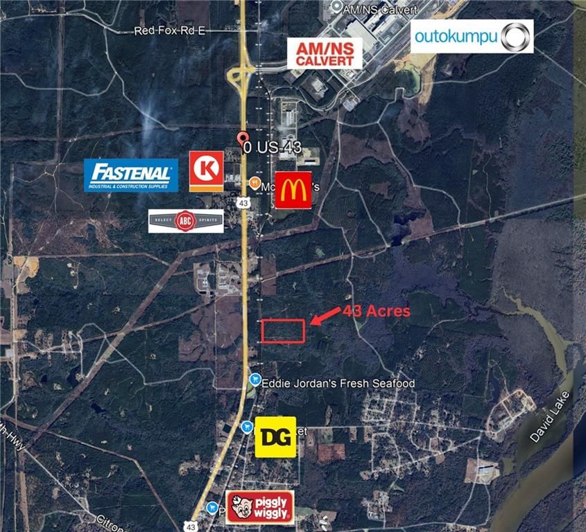 0 Highway 43, Mount Vernon, AL 36560 — photo 2