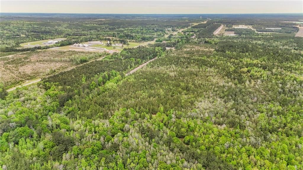 0 Highway 43, Mount Vernon, AL 36560 — photo 4