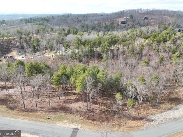 0 Ridge Drive, Morganton, GA 30560