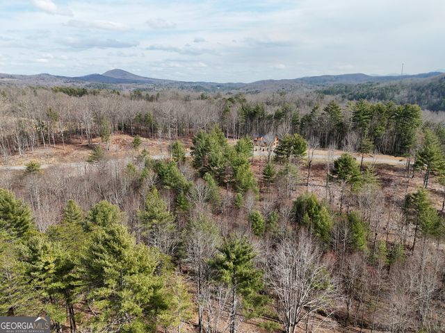 0 Ridge Drive, Morganton, GA 30560