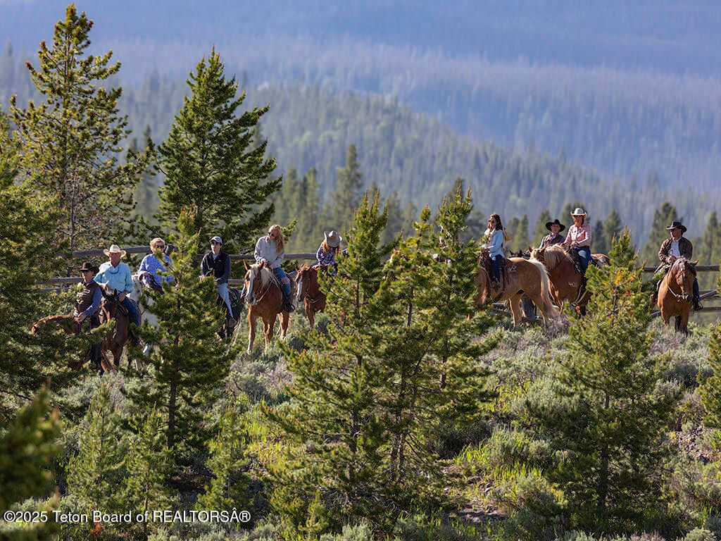 3737 US-26, Dubois, WY 82513 photo 23