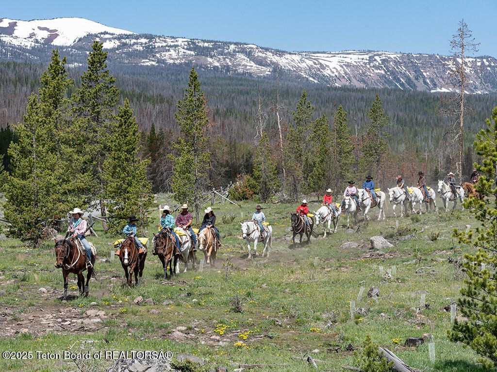 3737 US-26, Dubois, WY 82513 photo 29