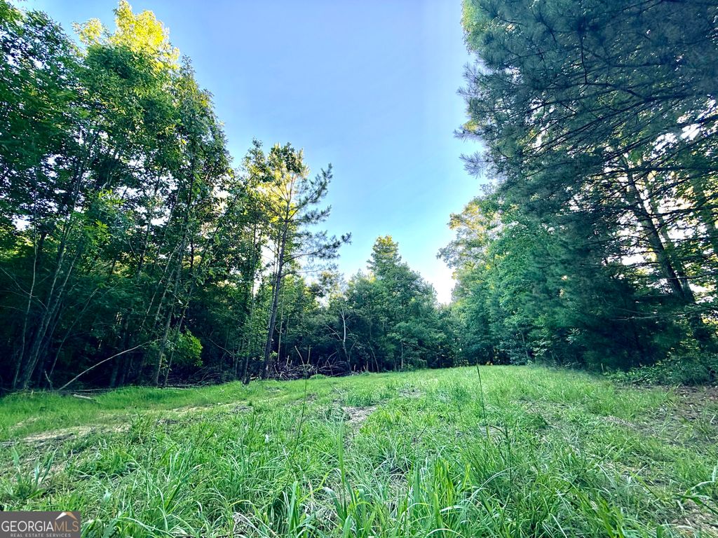 2787 Cedar Creek Road, Elberton, GA 30635 — exterior