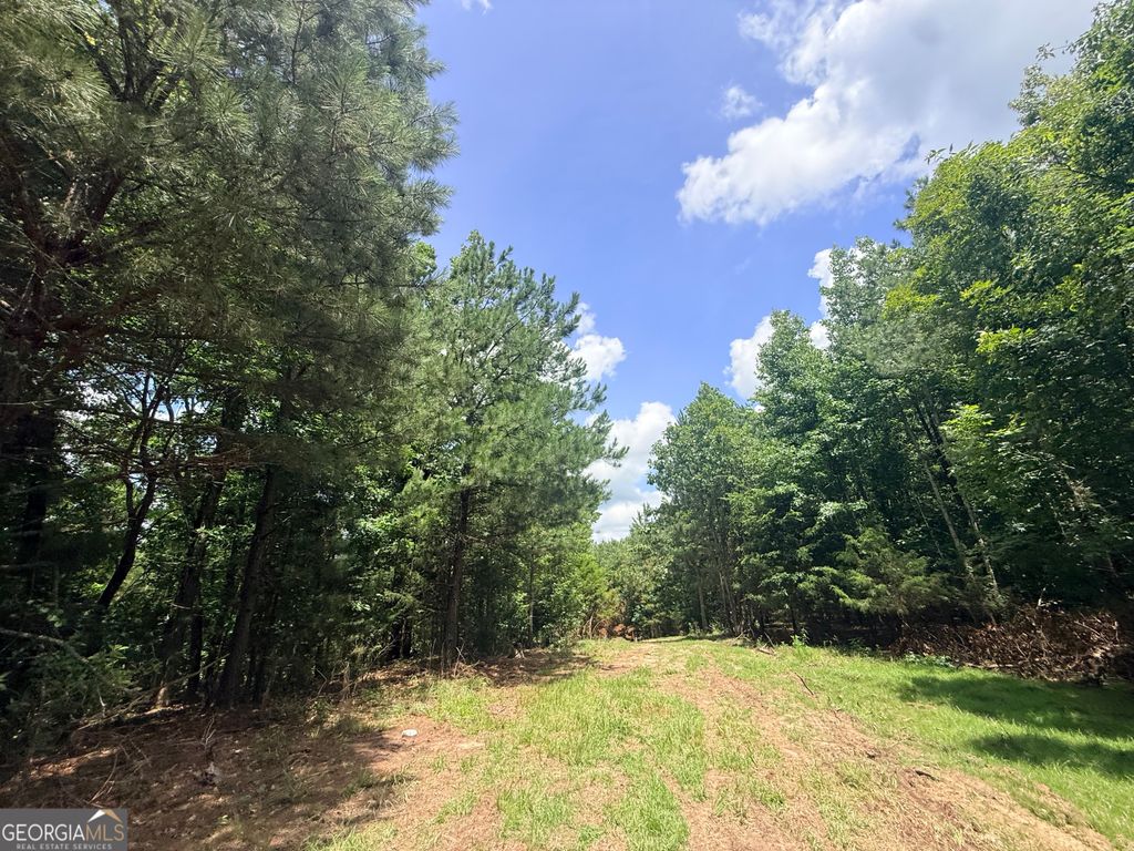 2787 Cedar Creek Road, Elberton, GA 30635 — photo 3