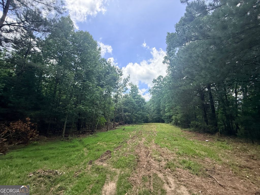 2787 Cedar Creek Road, Elberton, GA 30635 — photo 5
