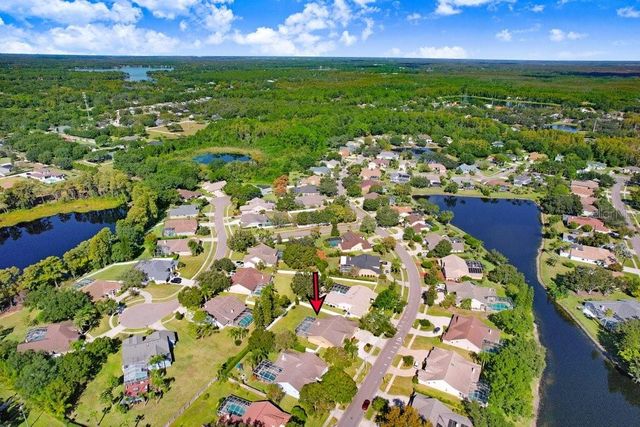 16906 EQUESTRIAN TRAIL, Odessa, FL 33556