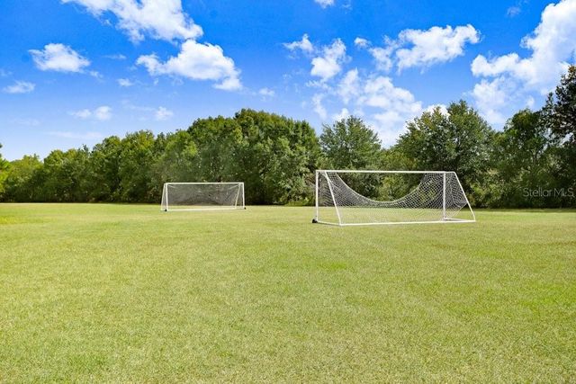 16906 EQUESTRIAN TRAIL, Odessa, FL 33556