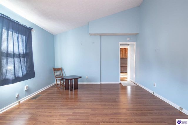 1390 Payne Road, Ekron, KY 40117