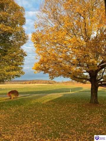 1390 Payne Road, Ekron, KY 40117