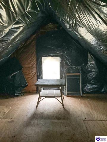 1390 Payne Road, Ekron, KY 40117