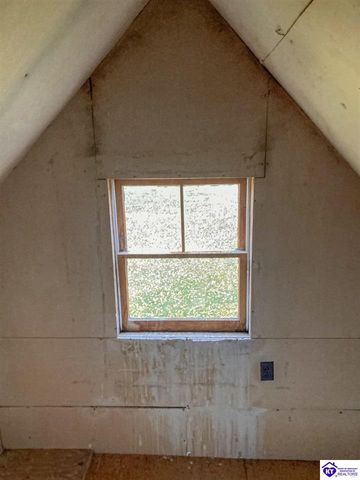 1390 Payne Road, Ekron, KY 40117