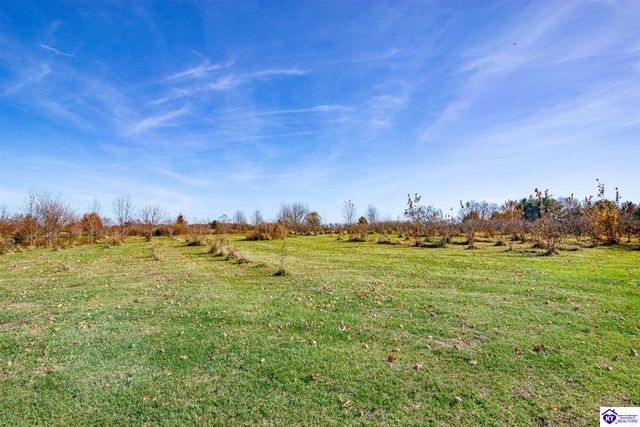 1390 Payne Road, Ekron, KY 40117