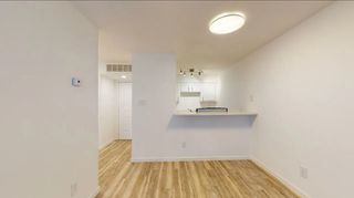 4717 Columbia Avenue 202, Dallas, TX 75226