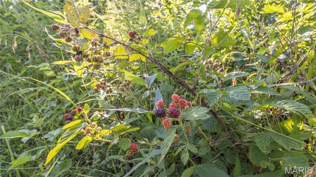 0 Old 79 Highway T, New London, MO 63459