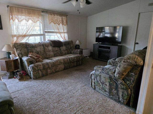 20803 Sunshine Road, Hermitage, MO 65668