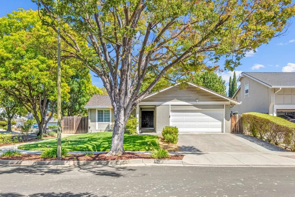 6375 San Anselmo Way, San Jose, CA 95119
