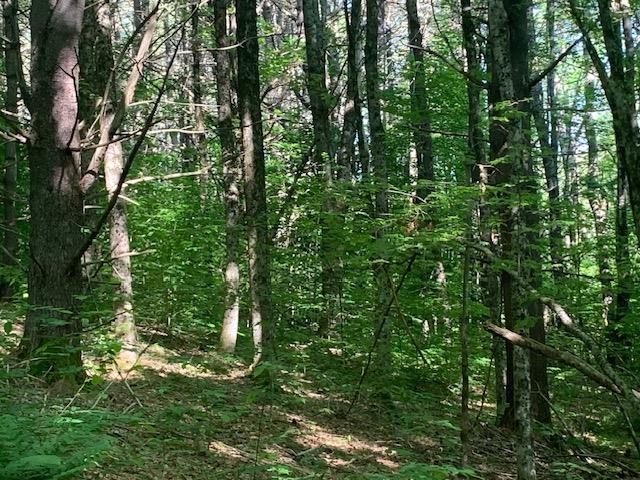 95 Jenne Road, Hartland, VT 05048