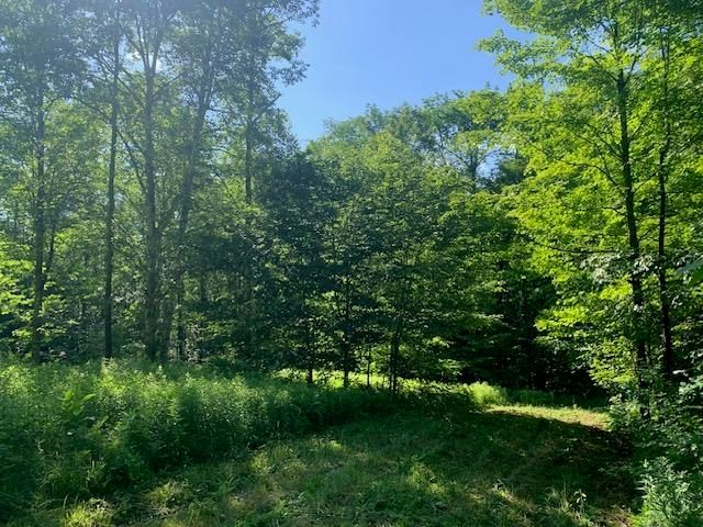 95 Jenne Road, Hartland, VT 05048