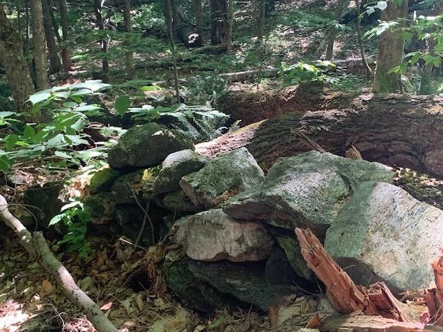 95 Jenne Road, Hartland, VT 05048