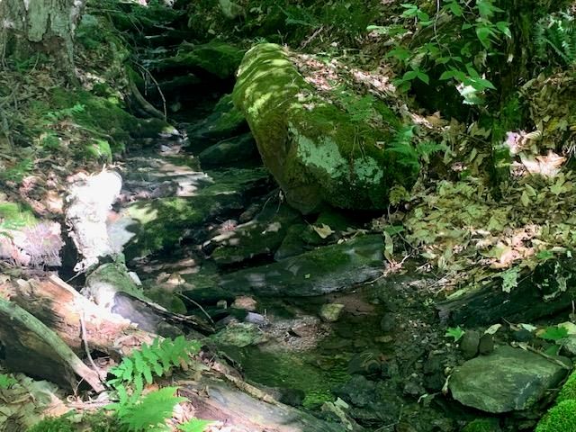 95 Jenne Road, Hartland, VT 05048