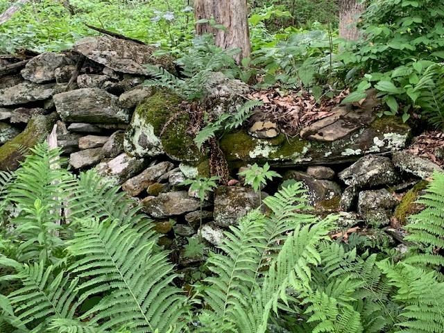 95 Jenne Road, Hartland, VT 05048